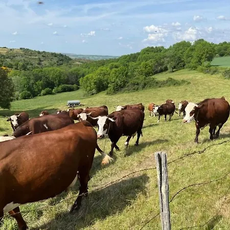 Maison De Renovee A La Ferme, Terrasse, Proche Du Parc Ardes, Puy De Dome Et Brioude - Fr-1-582-375 * Autrac