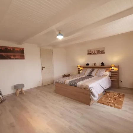 Maison De Renovee A La Ferme, Terrasse, Proche Du Parc Ardes, Puy De Dome Et Brioude - Fr-1-582-375