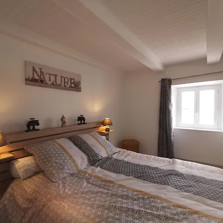 Maison De Renovee A La Ferme, Terrasse, Proche Du Parc Ardes, Puy De Dome Et Brioude - Fr-1-582-375 Semesterbostad *