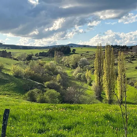 Maison De Renovee A La Ferme, Terrasse, Proche Du Parc Ardes, Puy De Dome Et Brioude - Fr-1-582-375 Semesterbostad