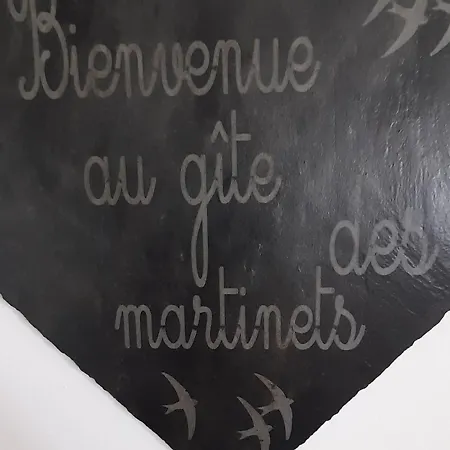 Vakantiehuis Maison De Renovee A La Ferme, Terrasse, Proche Du Parc Ardes, Puy De Dome Et Brioude - Fr-1-582-375